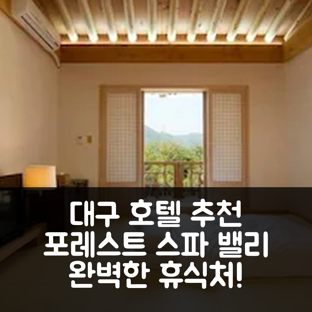 대구 숙소 여행 호텔 추천 포 레스트 스파 밸리 리조트 | 4성급 조식과 수영장으로 완벽한 휴식지 5가지 이유