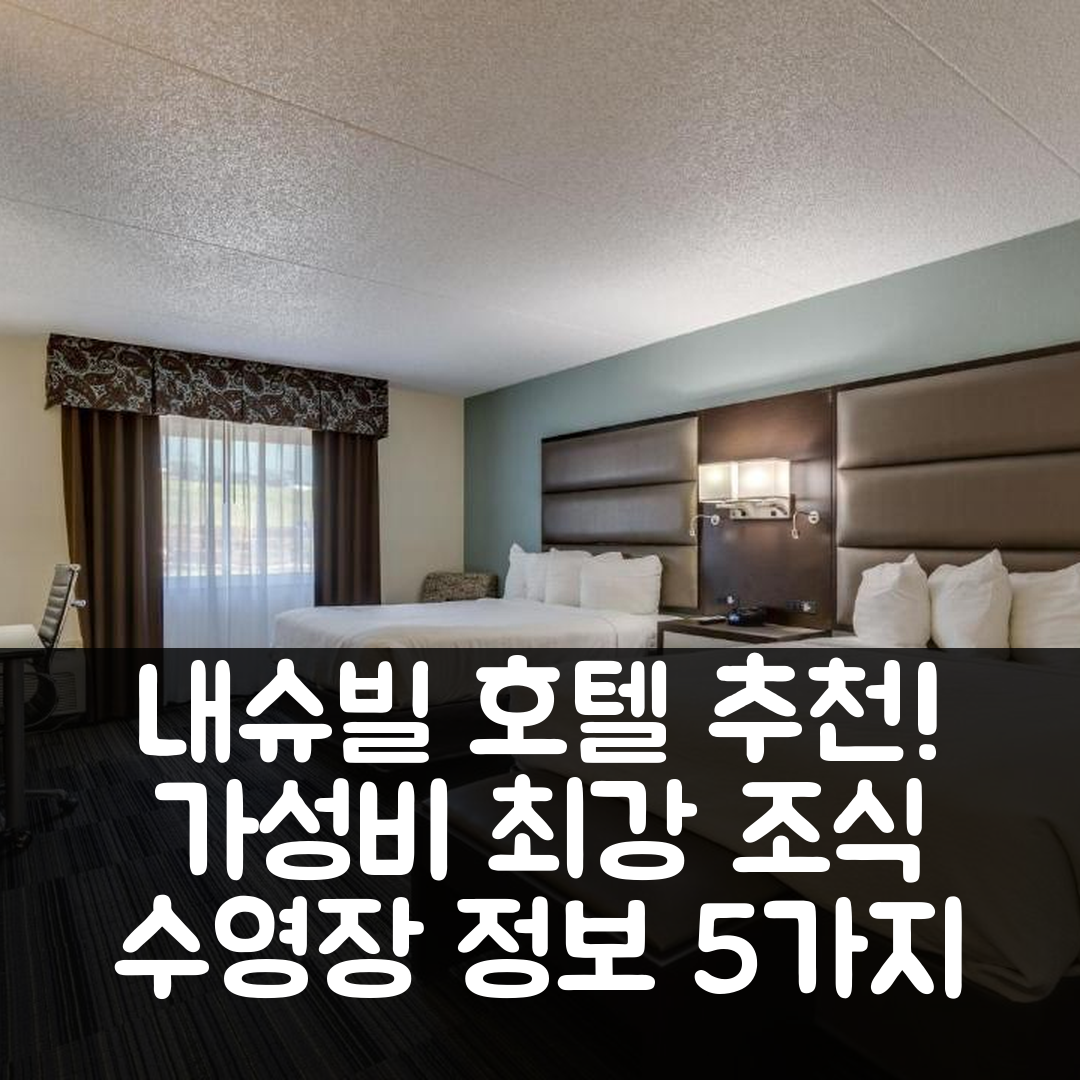 내슈빌 숙소 여행 호텔 추천 클럽 호텔 내슈빌 인 앤 스위트 | 가성비 뛰어난 조식과 수영장 정보 5가지