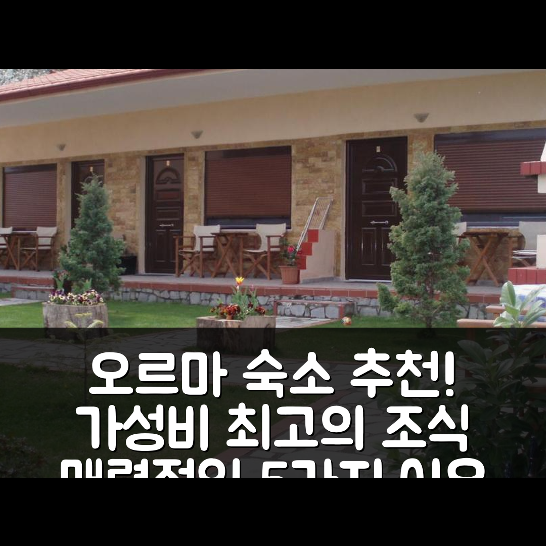 오르마 숙소 여행 호텔 추천 게스트하우스 미소스 | 가성비 뛰어난 조식과 위치가 매력적인 5가지 이유