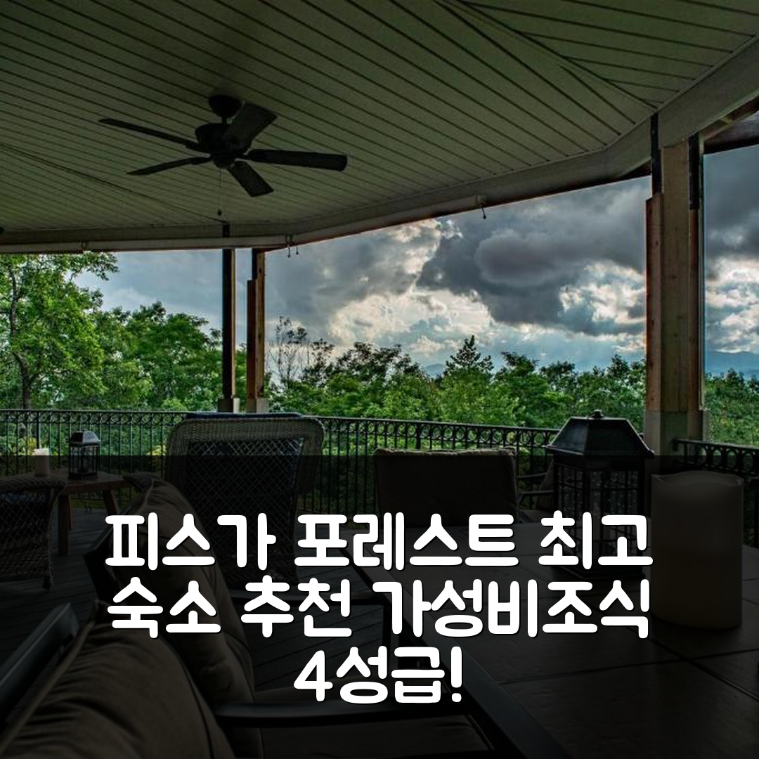 피스가 포레스트 숙소 여행 호텔 추천 피스가 마운틴 하우스 | 4성급 조식과 가성비 우수한 위치 7가지 매력