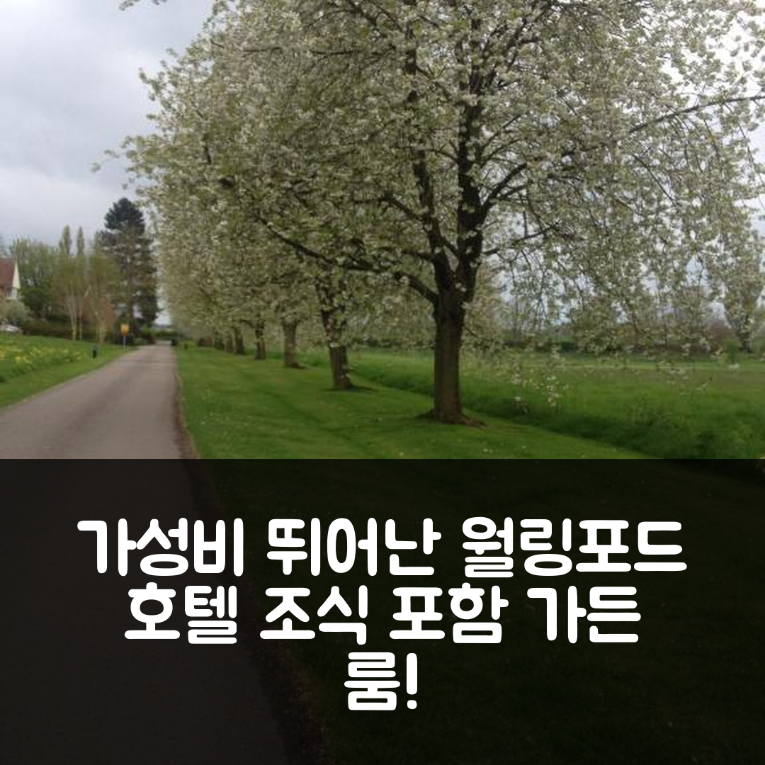 월링포드 숙소 여행 호텔 추천 가든 룸 | 조식과 가성비 뛰어난 5가지 이유