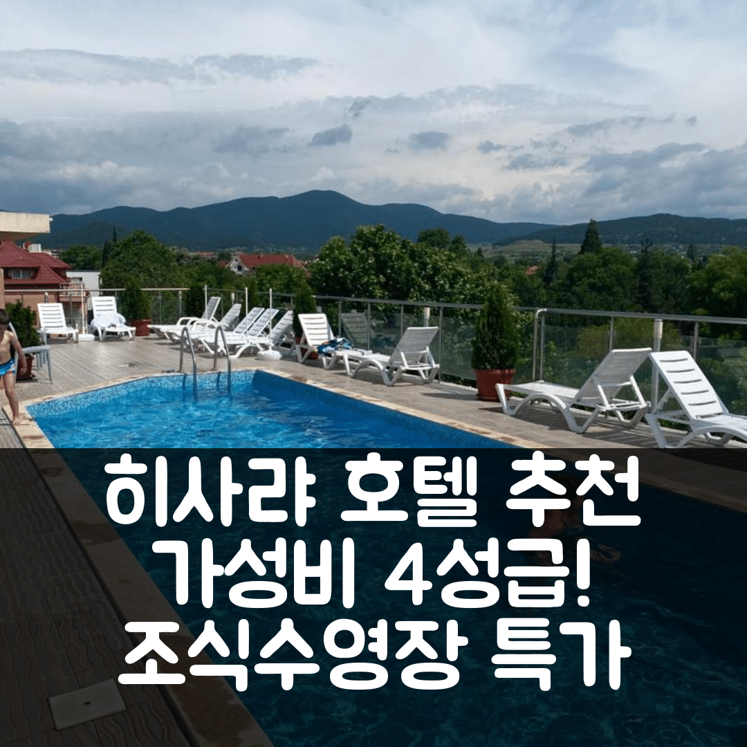 히사랴 숙소 여행 호텔 추천 판타지 아파트 15 | 가성비 뛰어난 4성급 조식 수영장 정보 5가지