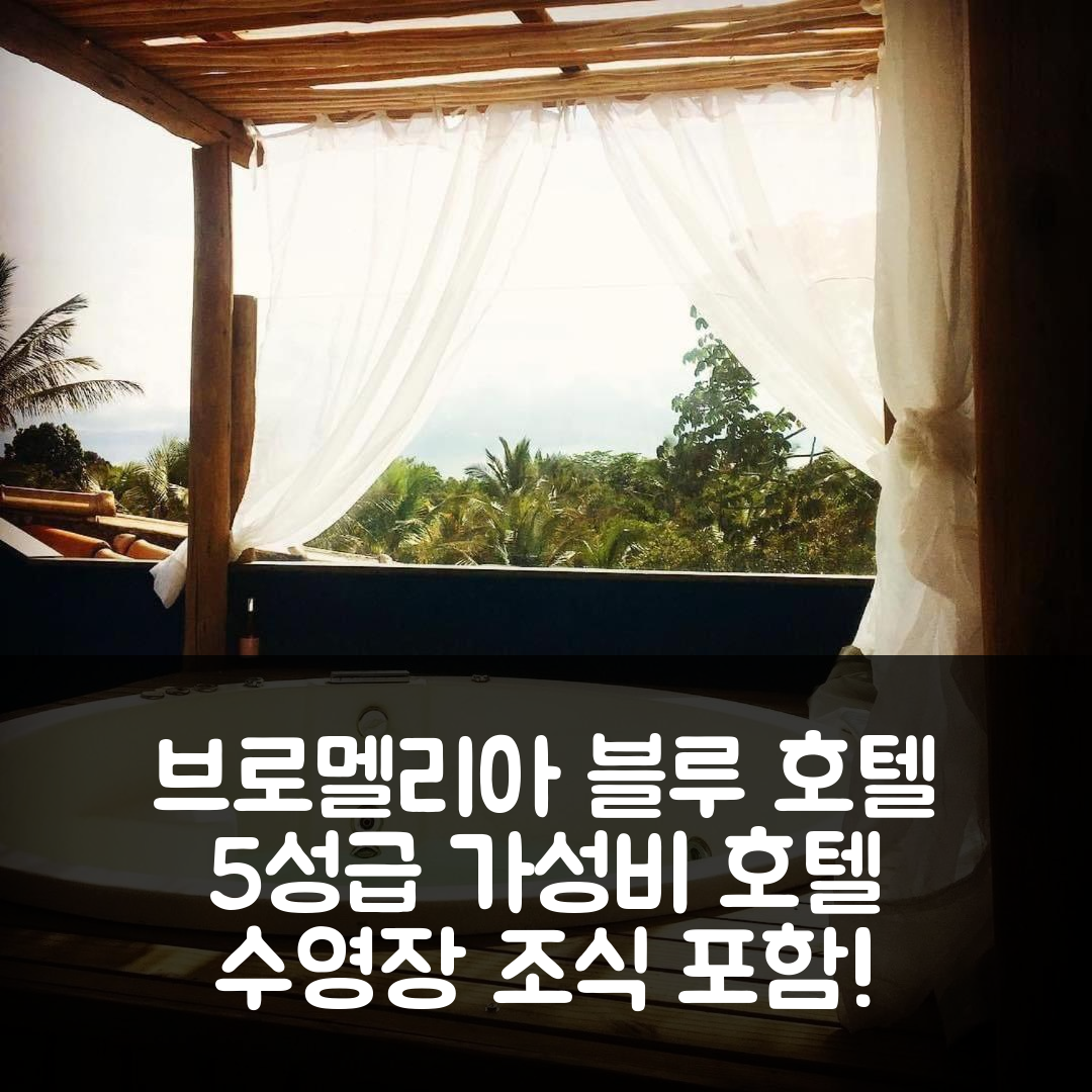 이타케어 숙소 여행 호텔 추천 브로멜리아 블루 호텔 | 수영장과 조식 제공 5성급 가성비 완벽한 선택 7가지 이유