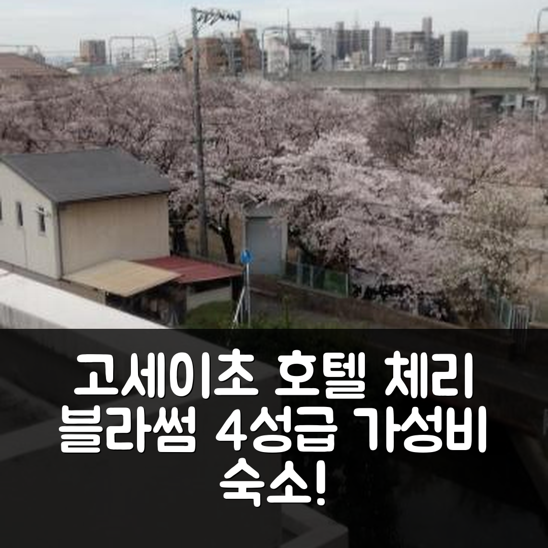 오카야마 숙소 여행 호텔 추천 체리 블라썸 고세이초 호텔 | 4성급 가성비 뛰어난 위치와 조식 7가지 장점