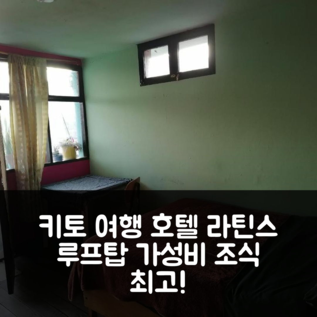 키토 숙소 여행 호텔 추천 라틴스 루프탑 하우스 | 가성비와 조식이 뛰어난 5가지 이유와 위치 안내