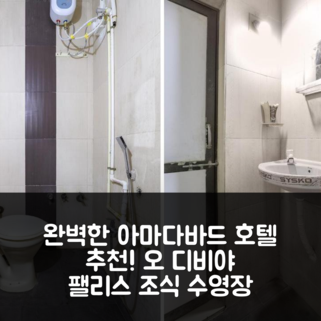아마다바드 숙소 여행 호텔 추천 오 디비야 팰리스 | 조식과 수영장이 완벽한 5가지 이유