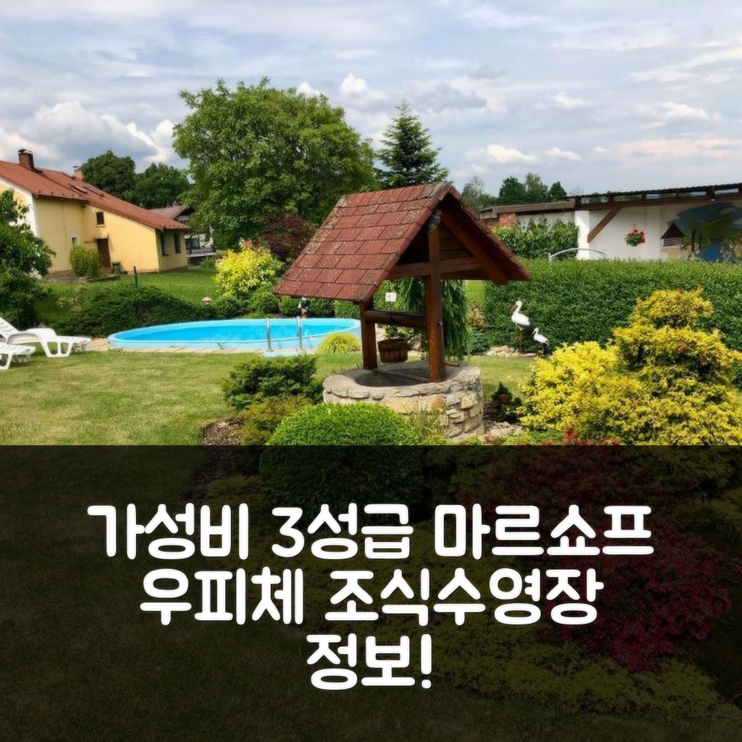 마르쇼프 우 우피체 숙소 여행 펜지온 로가로 | 가성비 좋은 3성급 조식과 수영장 정보 5가지