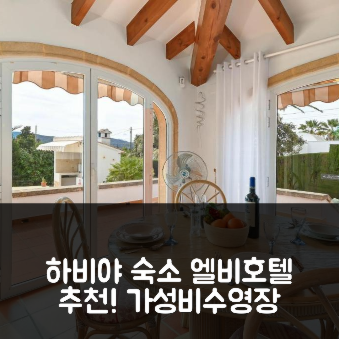 하비야 숙소 여행 호텔 추천 엘비 호텔 가성비와 수영장 조식이 뛰어난 7가지 이유