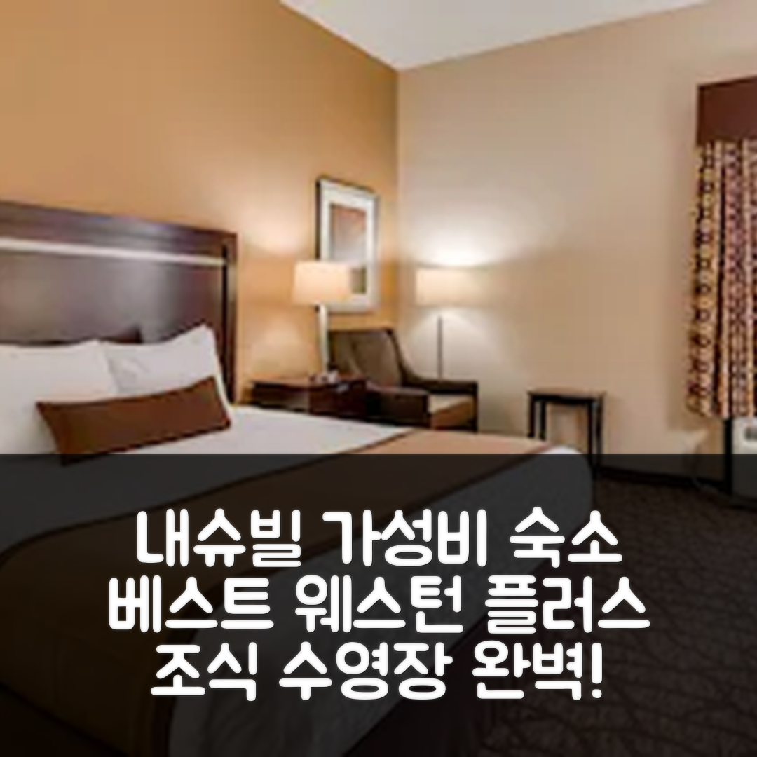 내슈빌 숙소 여행 호텔 추천 베스트 웨스턴 플러스 벨 미드 인 앤 스위트 | 조식과 수영장으로 완벽한 가성비 숙소 7가지 매력